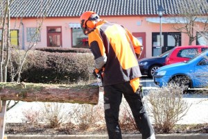 IMG 4672