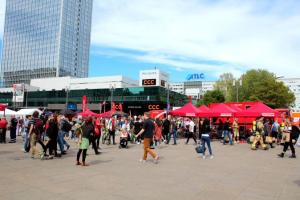 IMG 7859