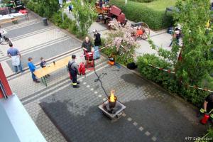 IMG 7937 (1)