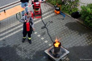 IMG 7942
