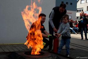IMG 7958