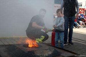 IMG 7961 (1)